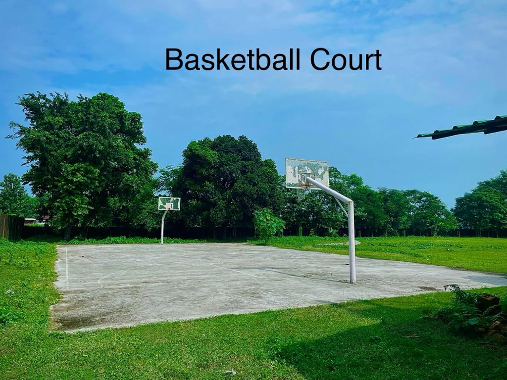 Basketball Court